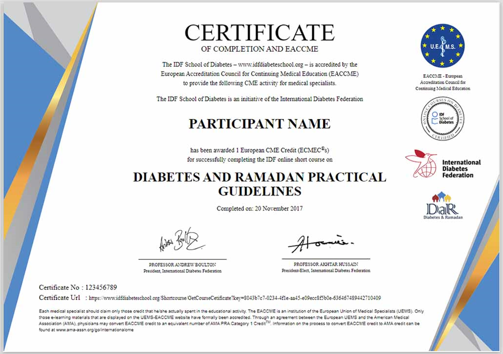 Idf School Of Diabetes