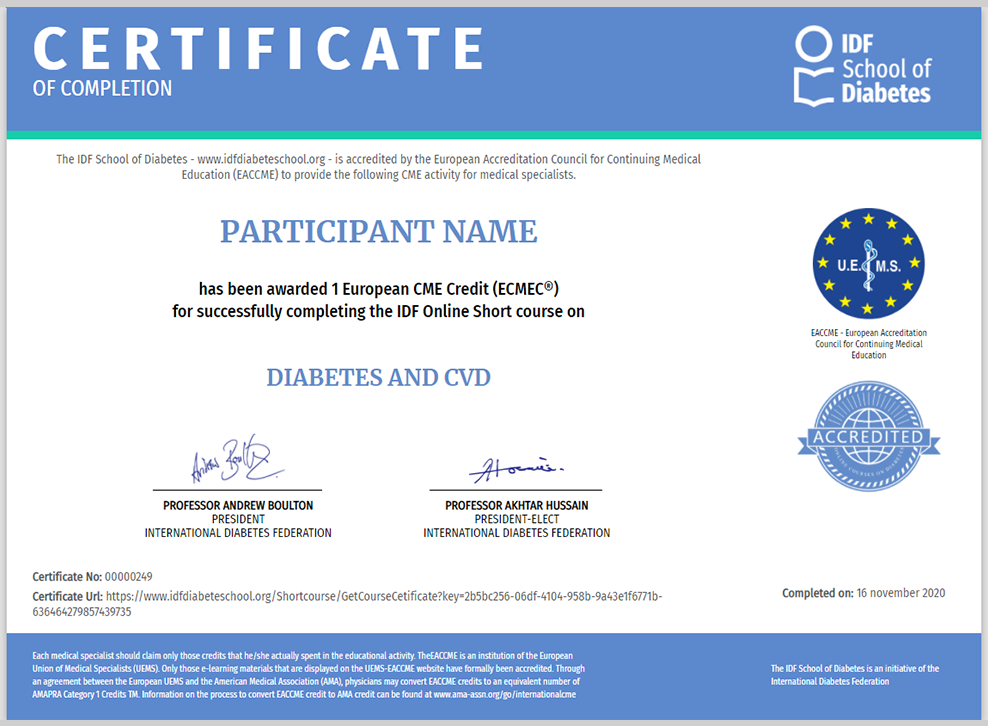 diabetes course online